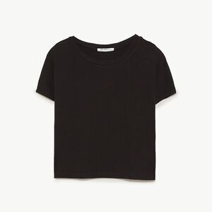 Zara Basics Black Crop Top